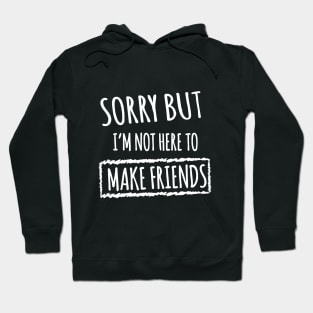 Sorry but i'm not here to make friends Hoodie